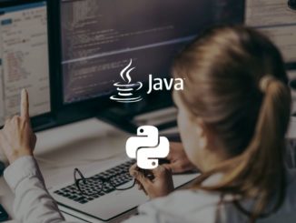 Desarrollo web con Python y Java